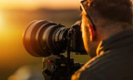 Photography At The Stables