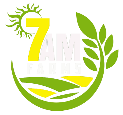 7AM FARMS