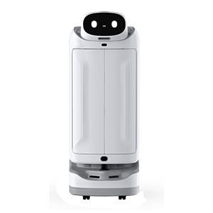 Pringle Robotics | Advanced Robotics Solutions Company » BoTs