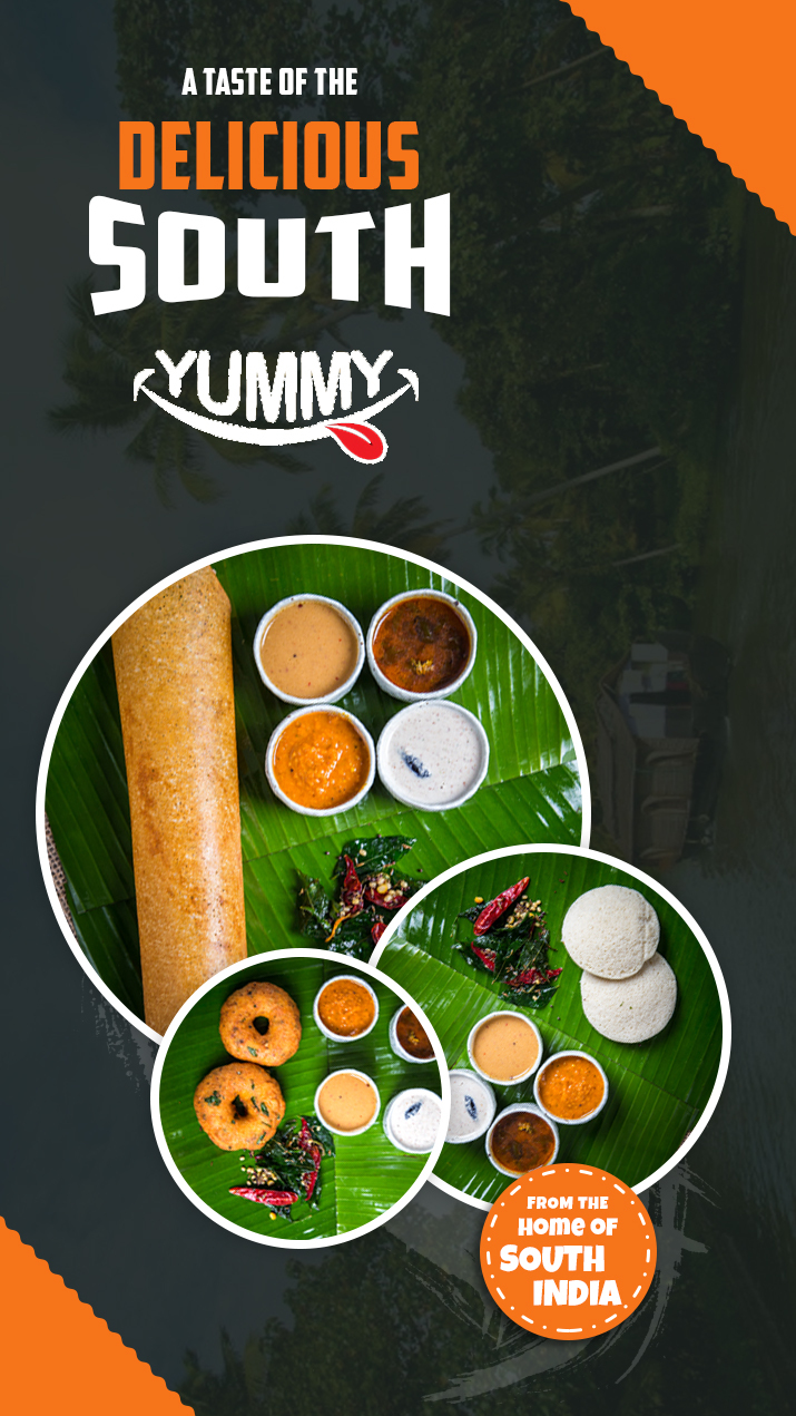 south indian food banner