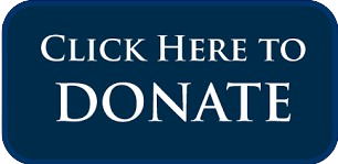 Donation-button